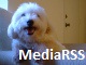 MediaRSS