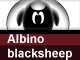 Albino Blacksheep