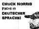 Chuck Norris facts (German)